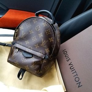 Louis Vuitton palm springs mini